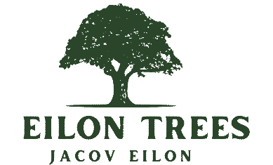EILON TREES